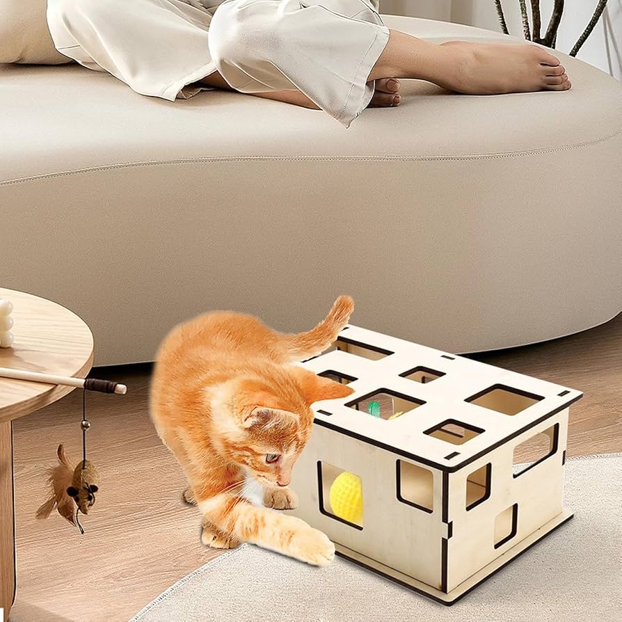 「くるねこ DVD ボックスセット」です。 猫ちゃんテンション 爆上げBOX ドギーマンハヤシ(株) 猫用おもちゃ